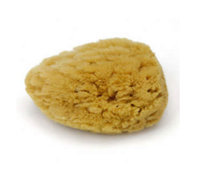 Dead Sea Natural Sponge | Gentle Exfoliation for Radiant Skin